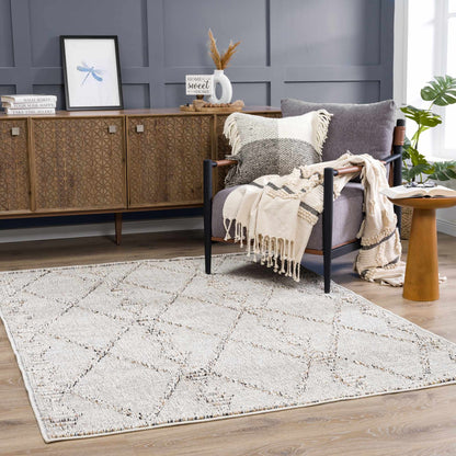 Nyla Bone Indoor & Outdoor Rug - 2x3 - Clearance