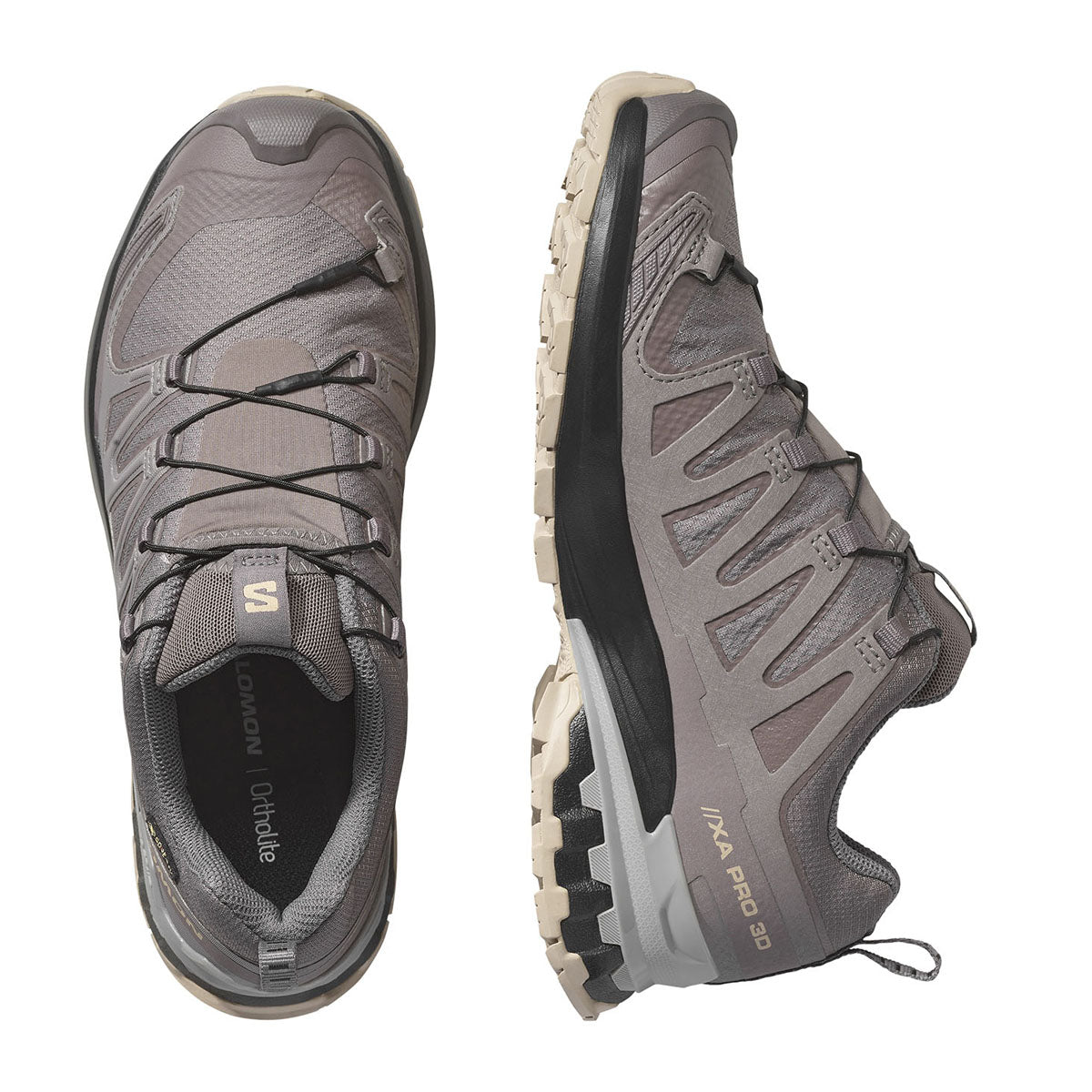 Plum Kitten / Black / Gull-