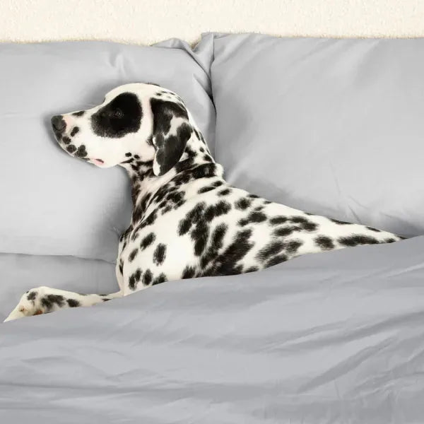 Sateen Dream™ Pillowcases