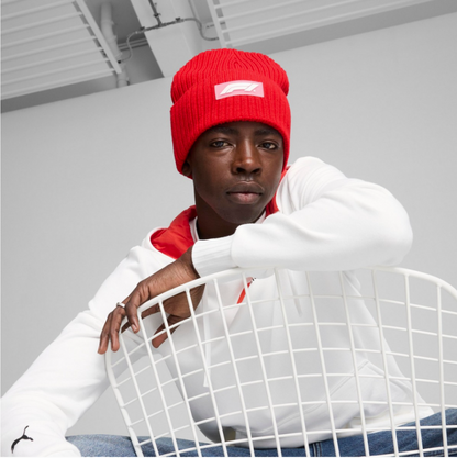 Puma Men's F1 Beanie Hats
