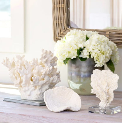 Park Hill |Maldives Faux Coral Accent, Large