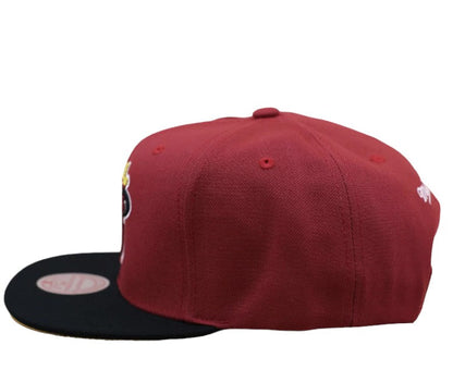 Mitchell & Ness Men's NBA Core Basic Snapback Hwc Heat Snapback Caps