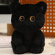 black cat