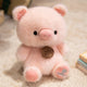 pig 1