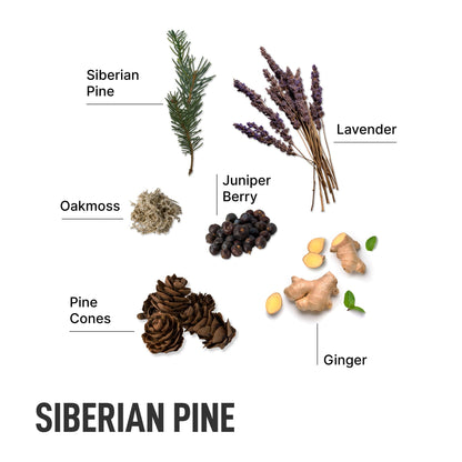 Siberian Pine-