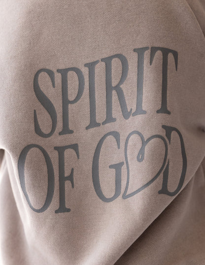 Elevated Faith Spirit of God Kids Hoodie