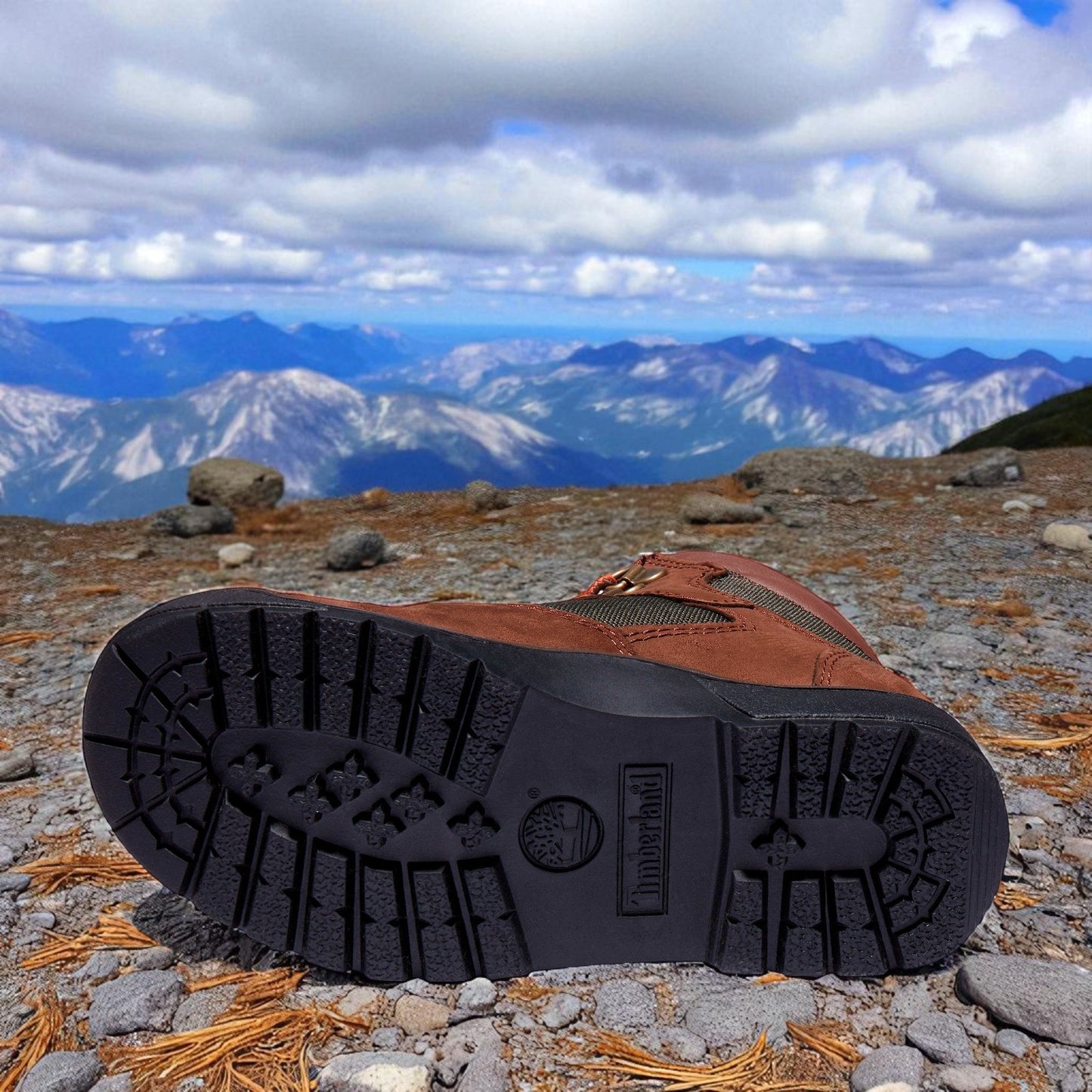 Timberland Grade School 6 Inch Field Boot Junior 'Brown Green' Boots