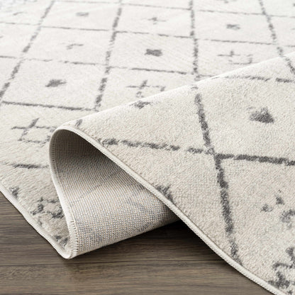 Tigris Area Rug - Clearance