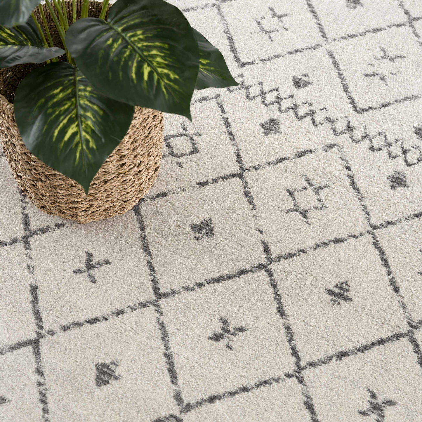 Tigris Area Rug - Clearance
