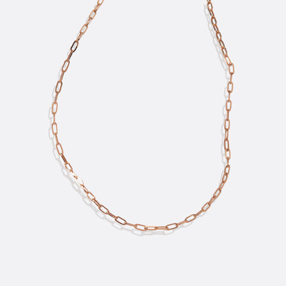 Mint & Lily Thin Paperclip Necklace