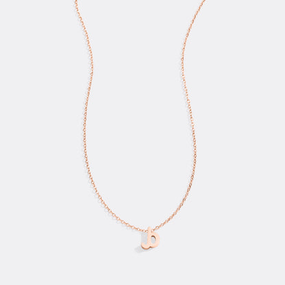 Mint & Lily Tiny Script Initial Necklace