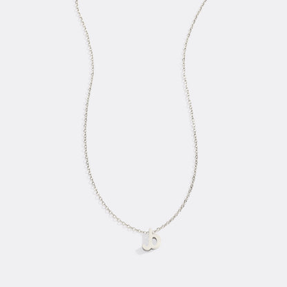 Mint & Lily Tiny Script Initial Necklace