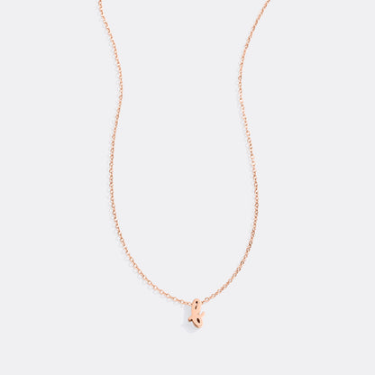 Mint & Lily Tiny Script Initial Necklace