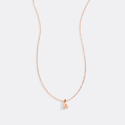 Mint & Lily Tiny Script Initial Necklace