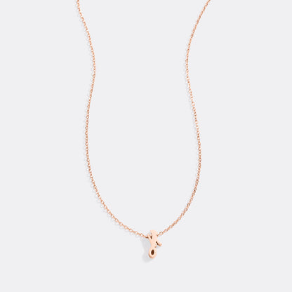 Mint & Lily Tiny Script Initial Necklace