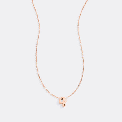 Mint & Lily Tiny Script Initial Necklace