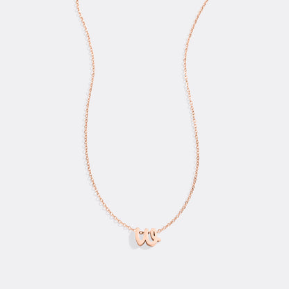 Mint & Lily Tiny Script Initial Necklace