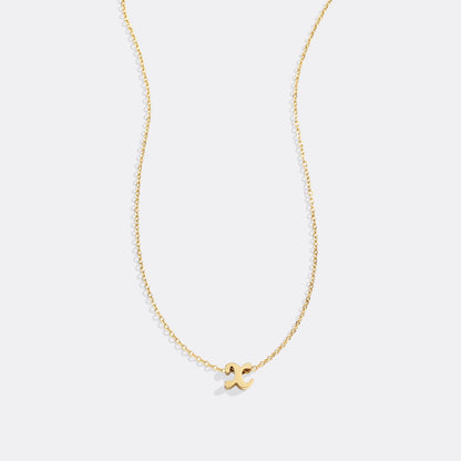 Mint & Lily Tiny Script Initial Necklace