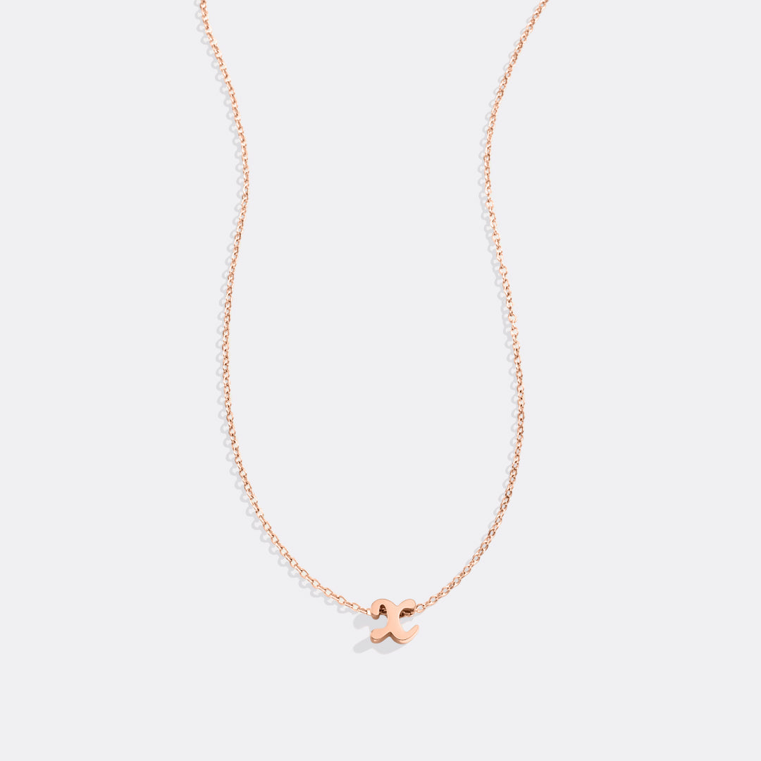 Mint & Lily Tiny Script Initial Necklace