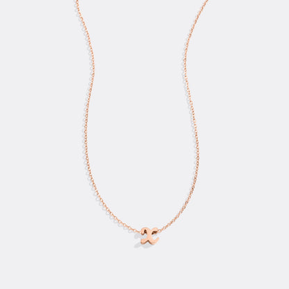 Mint & Lily Tiny Script Initial Necklace