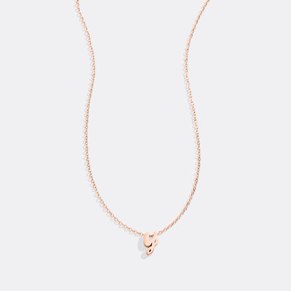 Mint & Lily Tiny Script Initial Necklace