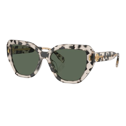 Tortoise / Green Solid-