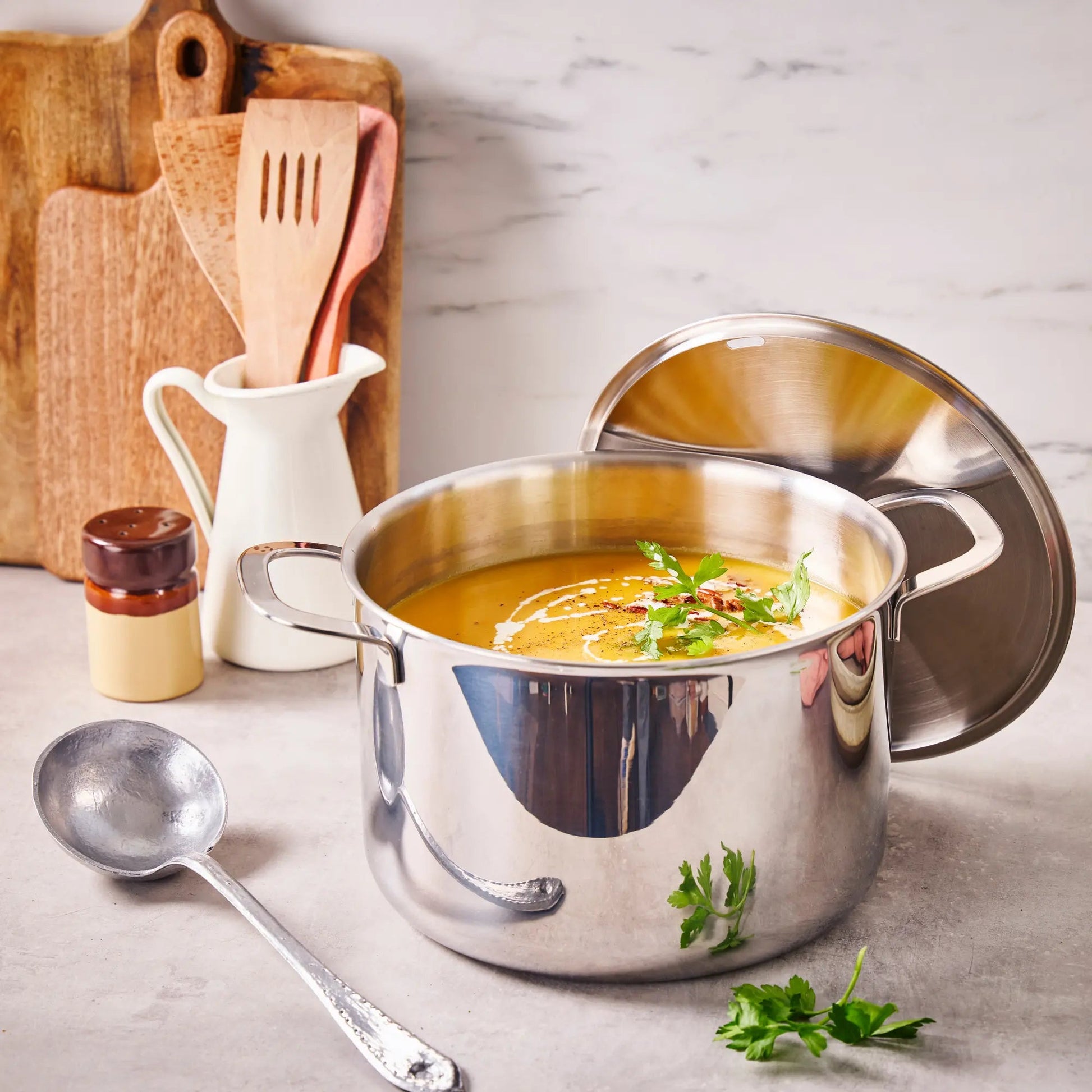 Maestro Stock Pot with Lid - Alva Cookware
