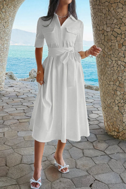 Solid Pocket Turn Down Collar A Line Dress
