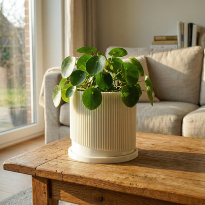 Mid-Century Ribbed Planter with Drainage and Saucer in Multiple Colors, 3D Printed Planter with Unique Modern Design, Lightweight, Wave