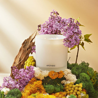 APOTHEKE White Vetiver 3-Wick Candle