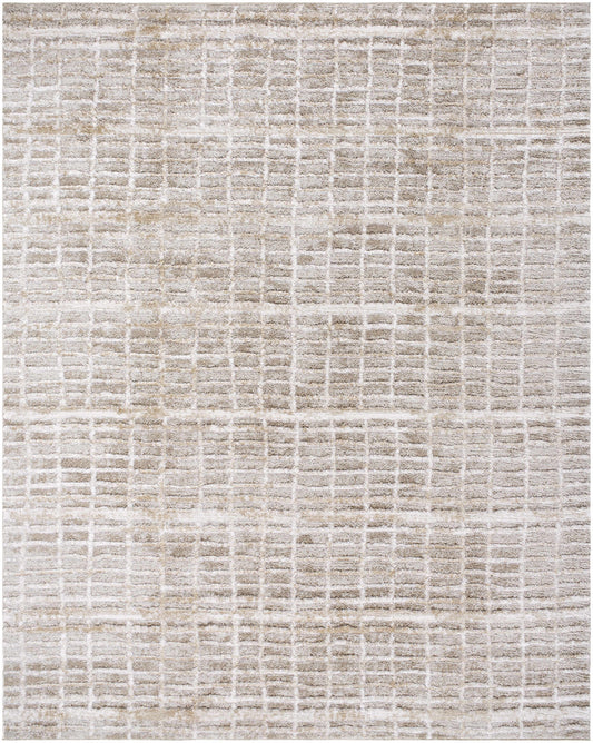 Ayashe Shag Area Rug