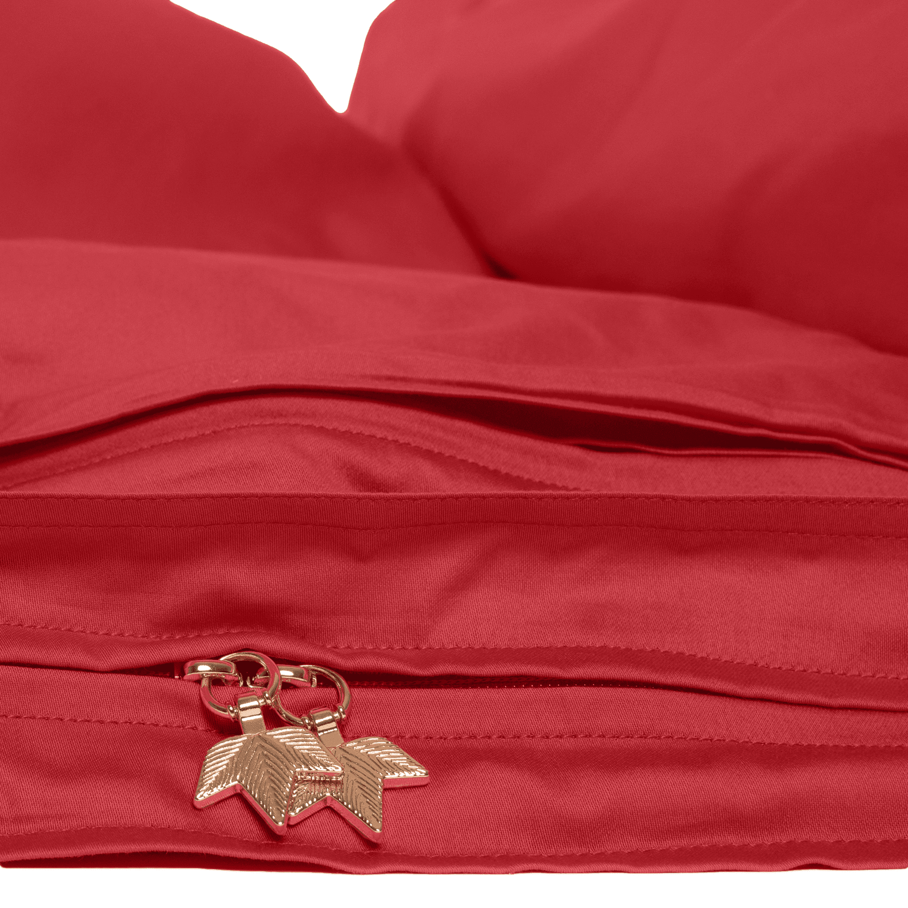 Cardinal-