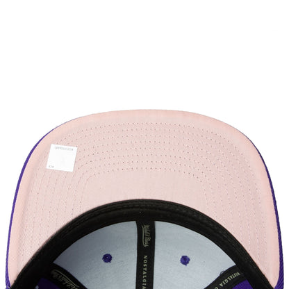 Mitchell & Ness Men's NBA All Love Snapback Hwc Raptors Snapback Caps