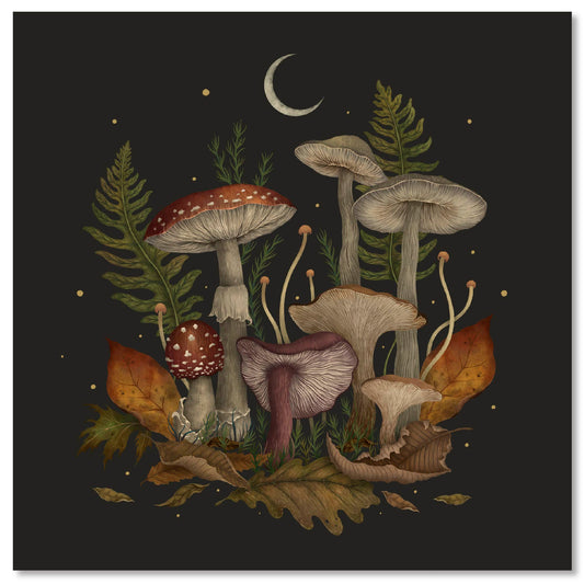 Multi Color-
