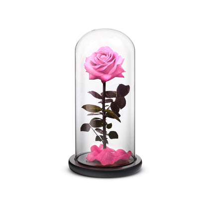 Rosephoria Everlasting // Small - Red