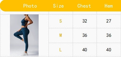Sports Bra Athletic Running Sports