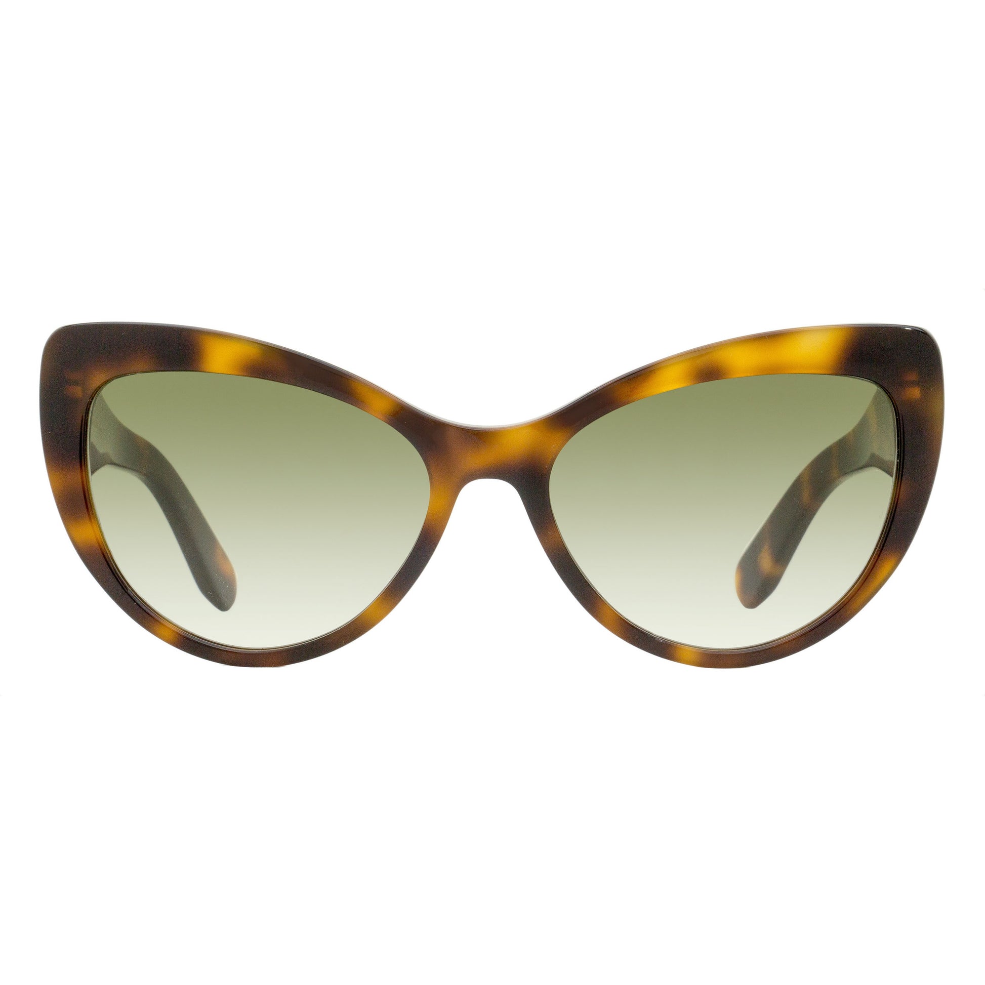 Classic Tortoise-