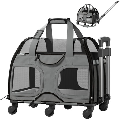 Black and Gray-