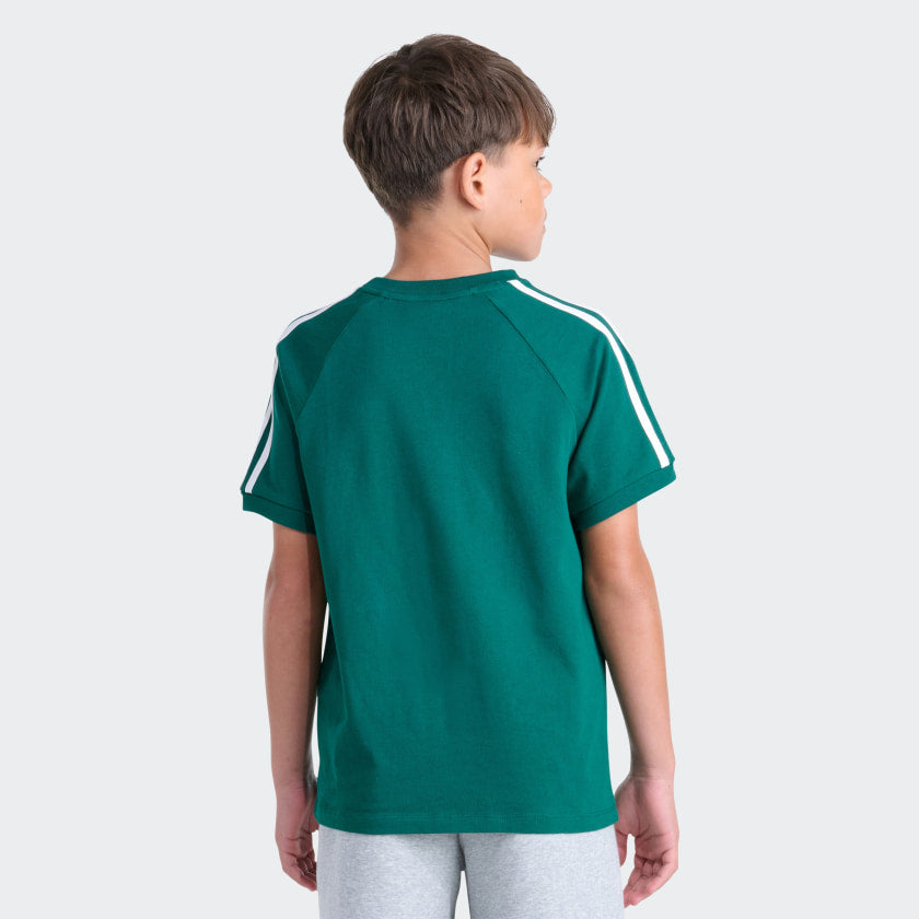 Collegiate Green-