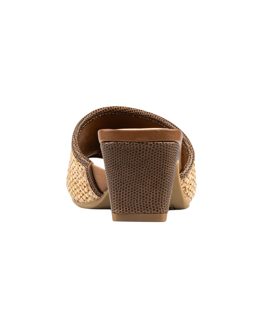 SDLE SADDLE-