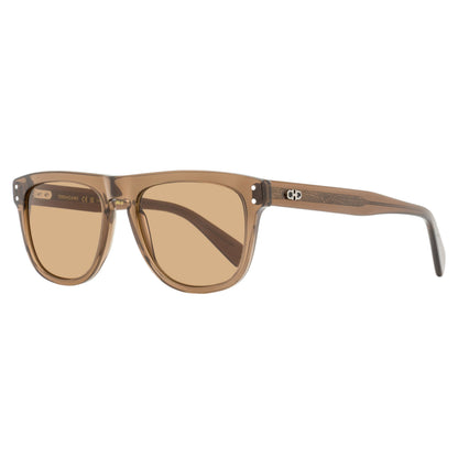Transparent Brown-