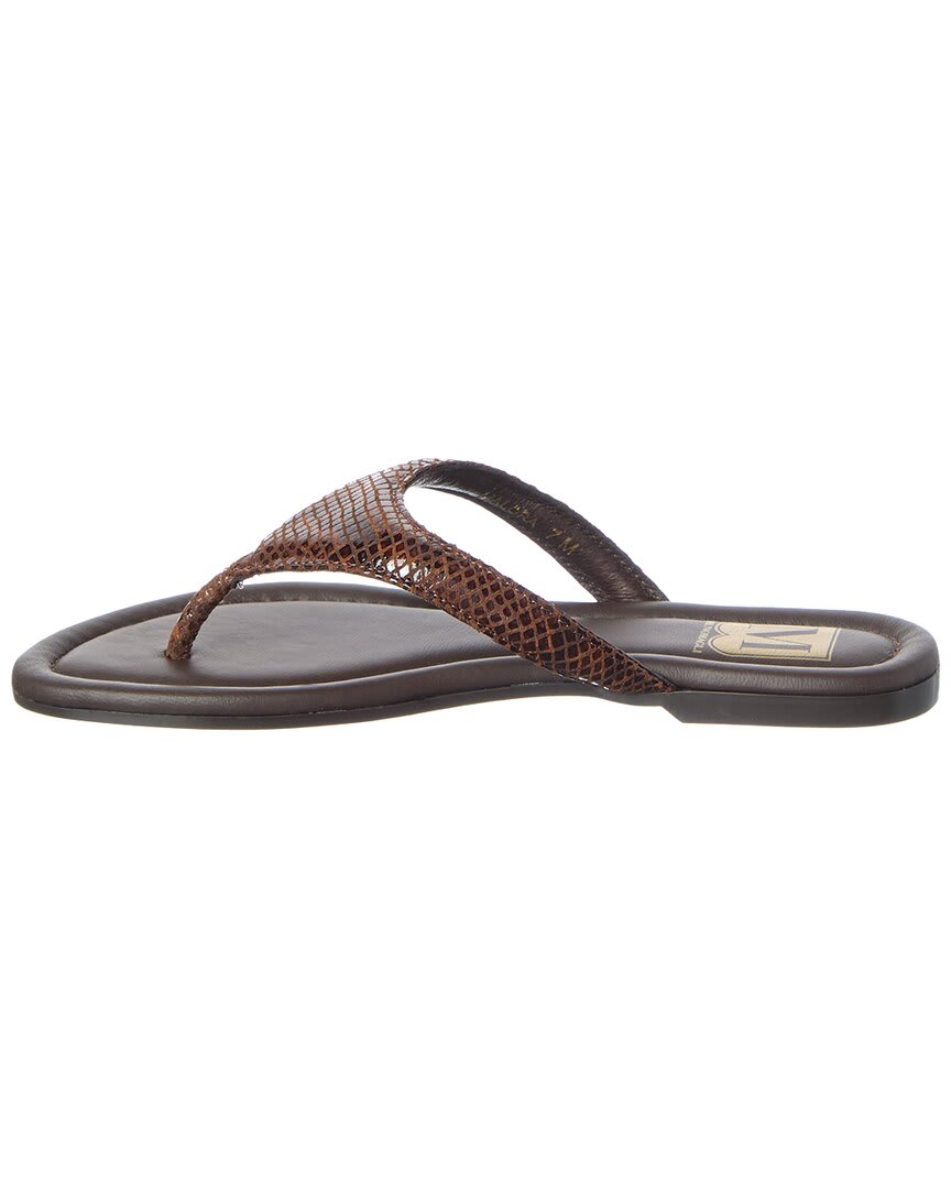 BROWN SNAKE-