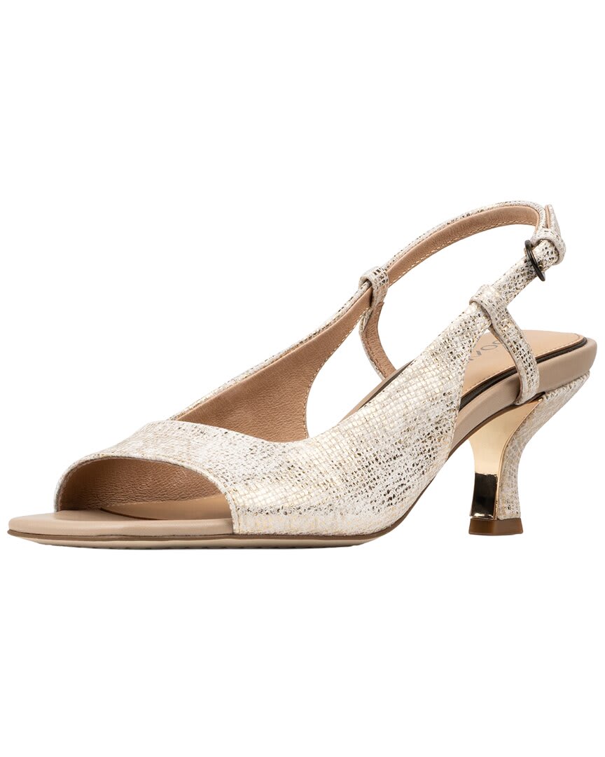 220 CAMEL-