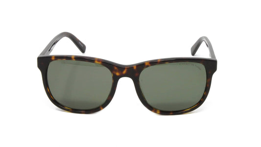 Dark Tortoise Polarized-