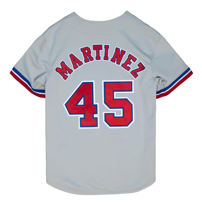 Mitchell & Ness Men's MLB Montreal Expos Cooperstown Authentic Jersey