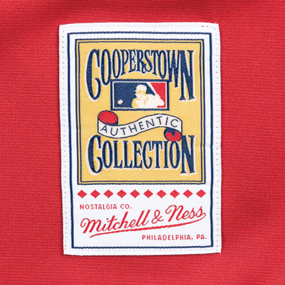 Mitchell & Ness Men's MLB Alternate Jersey Cincinnati Reds 05 Ken Griffey Jr