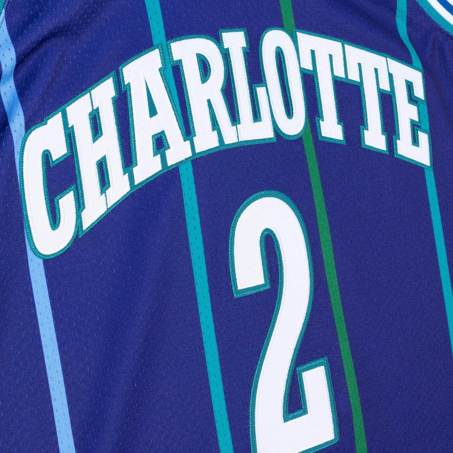 Mitchell & Ness NBA Authentic Alternate Jersey Charlotte Hornets 94 Larry Johnson Jerseys