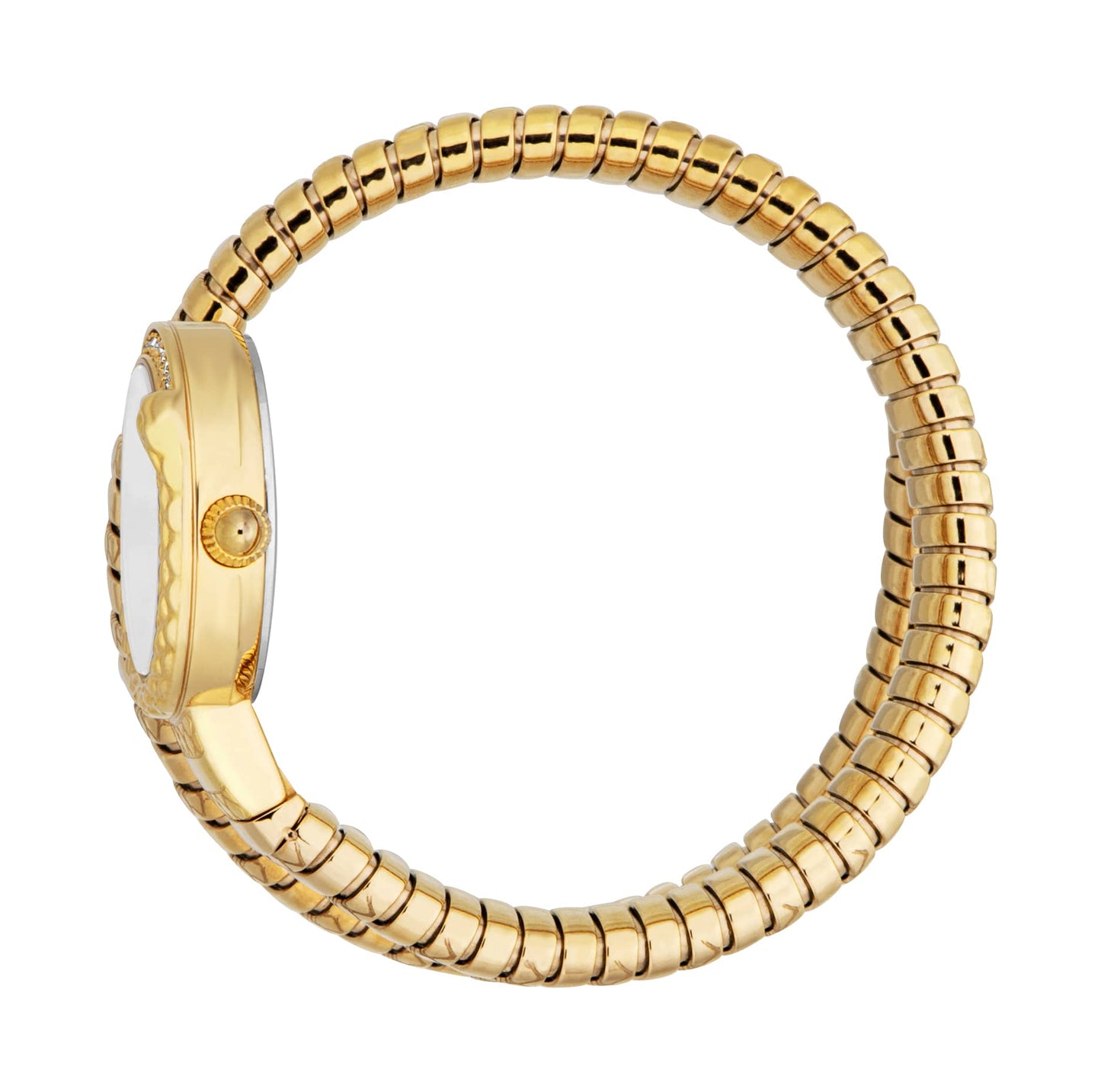 Jc1l301m0025 Just Cavalli Cerchio Snake Women’s Gold Snake Watch with Silver Dial