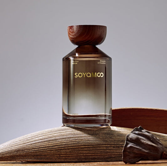SOYAMOO Matsuno Essence Wilderness Angled Shoulder Glass Reed Diffuser – 300ml