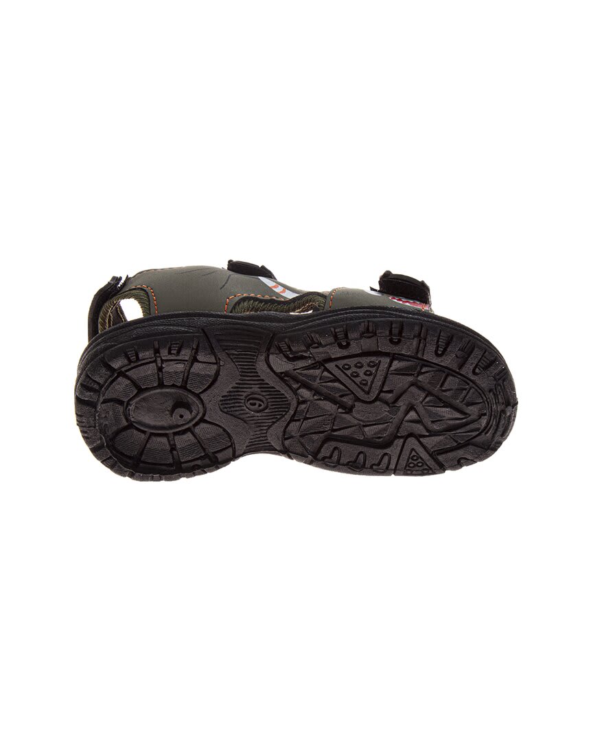 OLIVE BLACK-